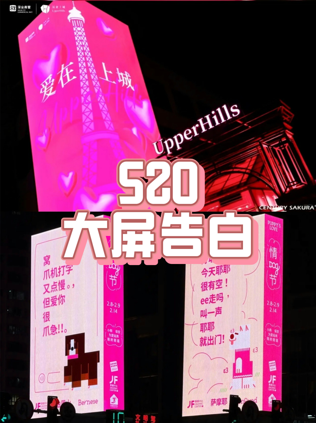 大屏告白