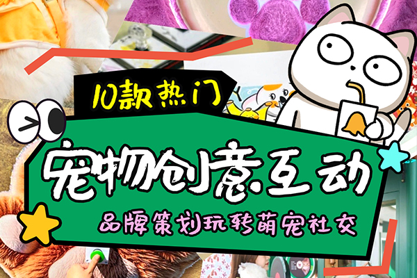 宠物类互动装置